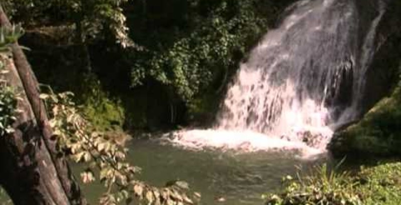 ONE - Outdoor Nature Experience