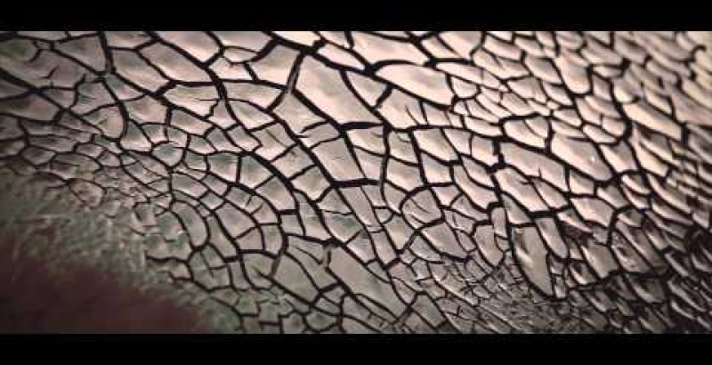 Regione Umbria Brand, una terra ricca di tempo - Città di Castello