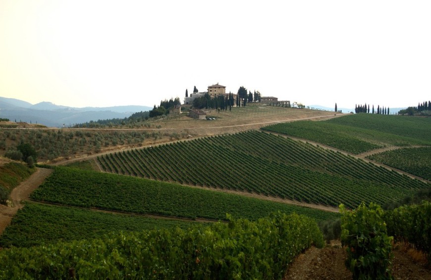 Gusto & Relax sulle Colline del Chianti
