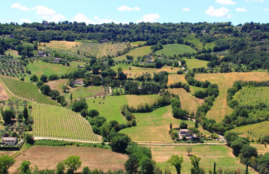 Parco Naturale del Monte Peglia con Gusto!