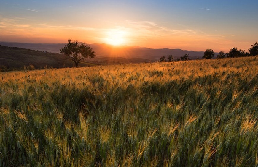 Vacanza d'autore sulle colline senesi: amazing Val d'Orcia
