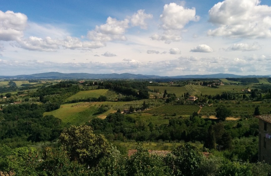 The Chianti's Way: from Firenze to Siena