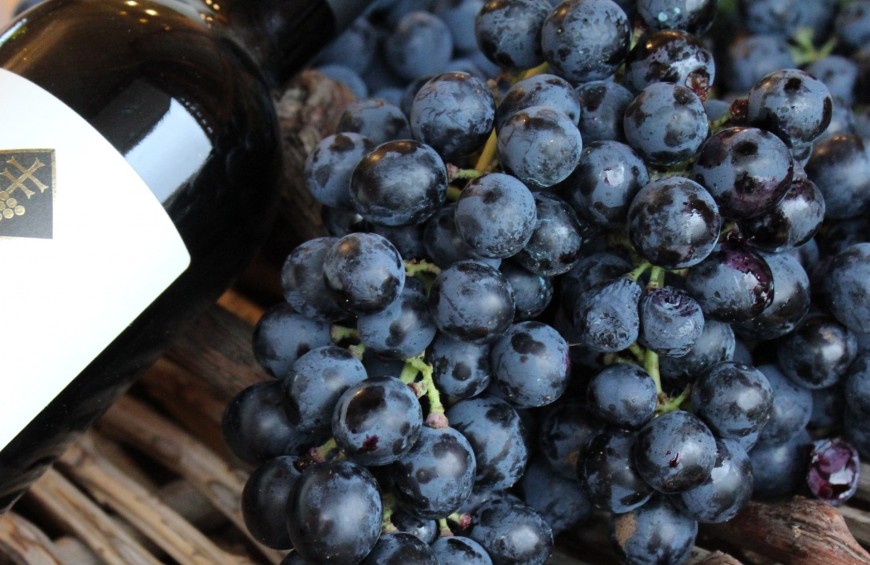 Taste tour: on the Sagrantino road