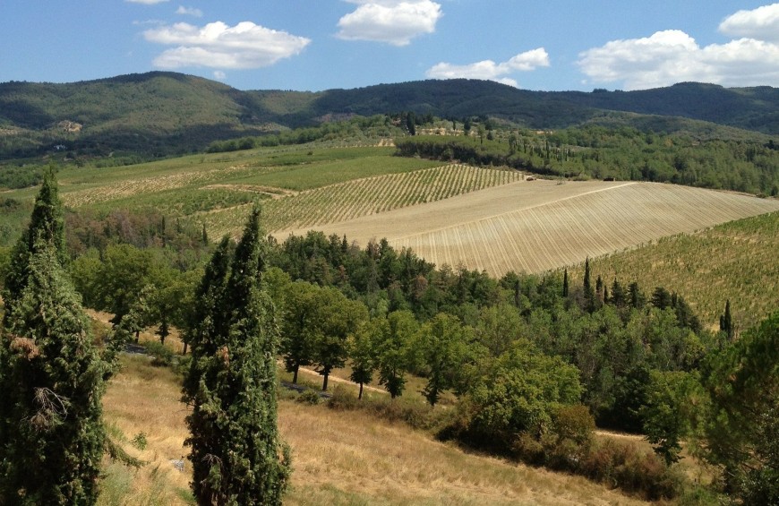Active Holiday in Valdichiana