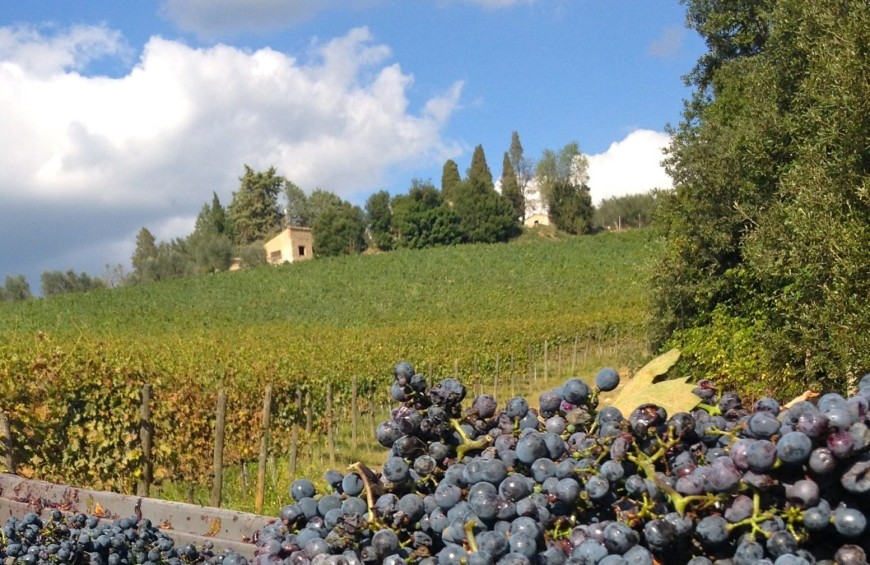 Rapolano thermal bath: nature, taste and wellness!