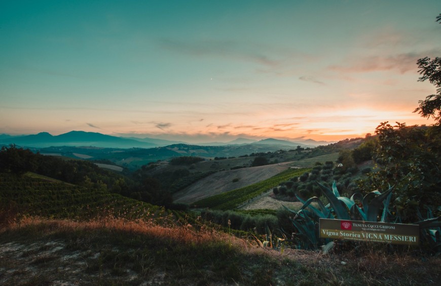 Wine & Art in the Hills of the Marche and Ascoli Piceno