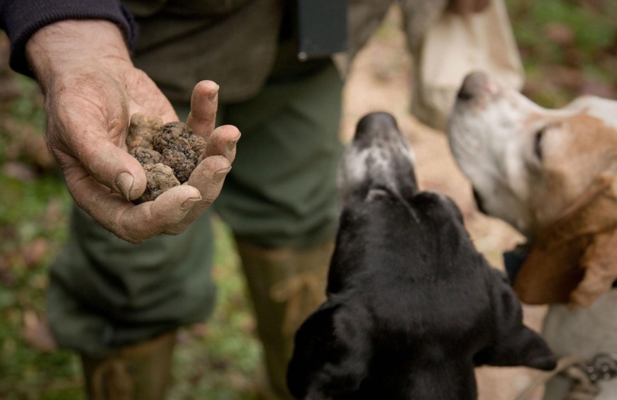 Tartufo e natura: un weekend nella tradizione della valle di Pietralunga