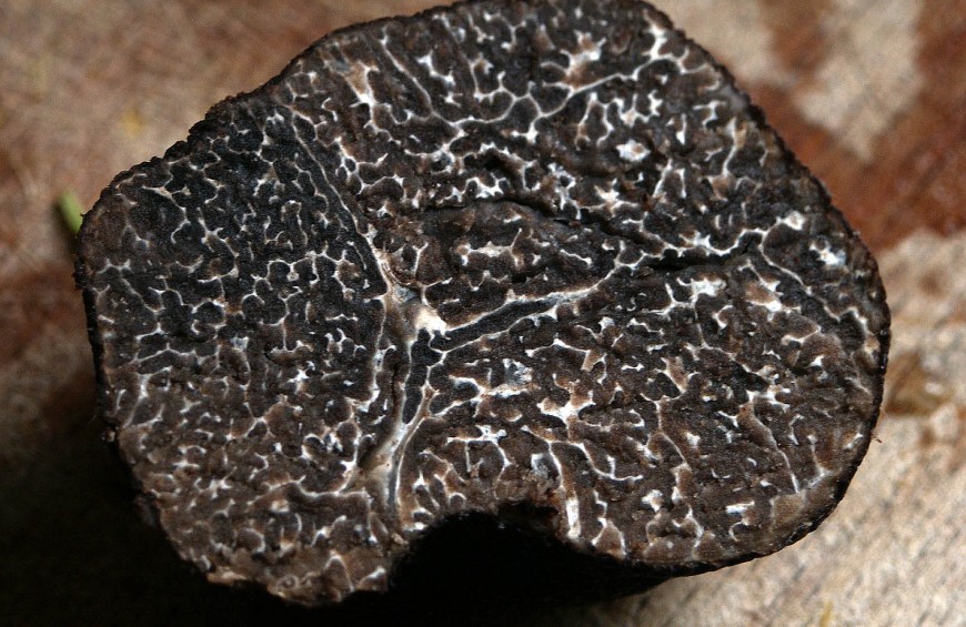 Itinerari gourmet: alla scoperta del tartufo nero