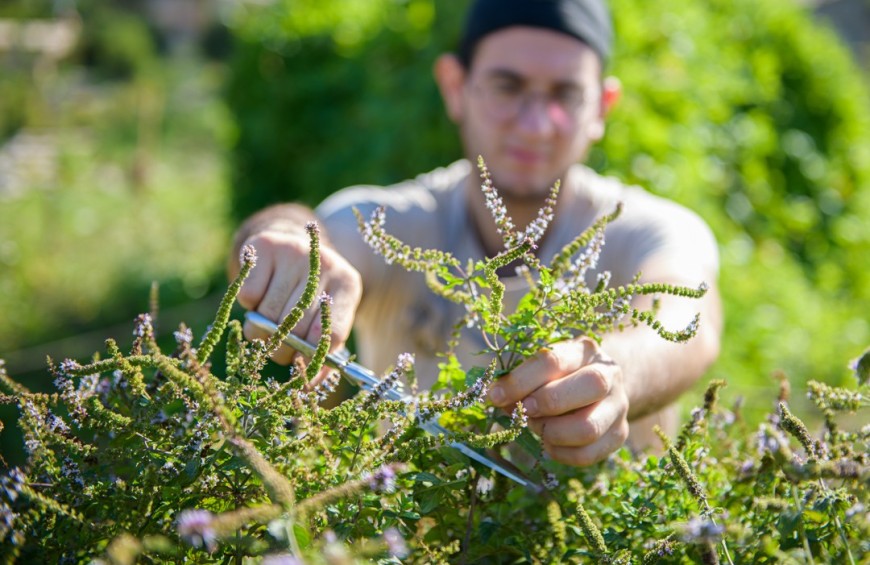 Soggiorno ad Assisi: armonia totale con la natura