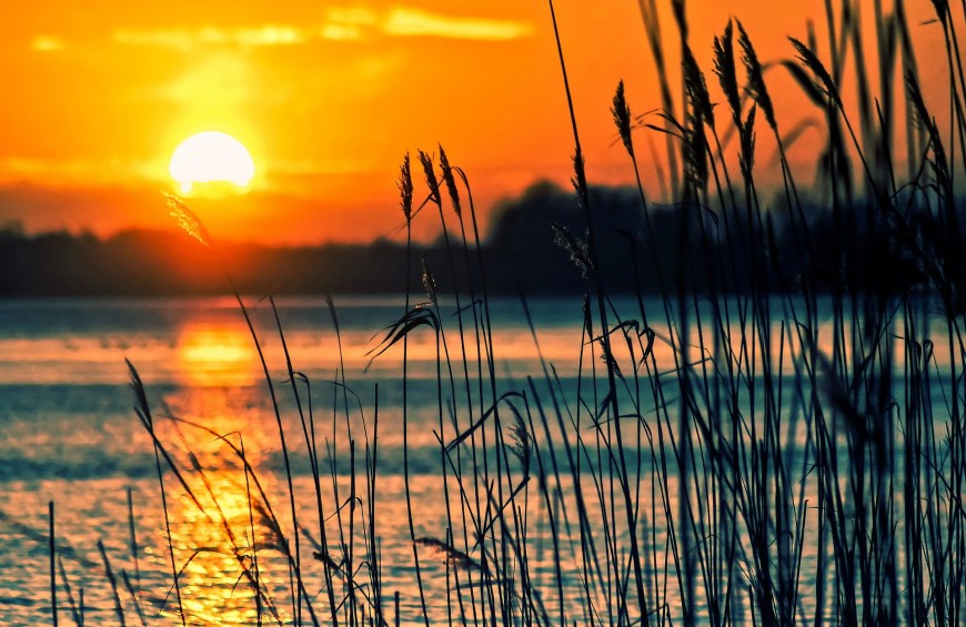 A summer day in Piediluco Lake