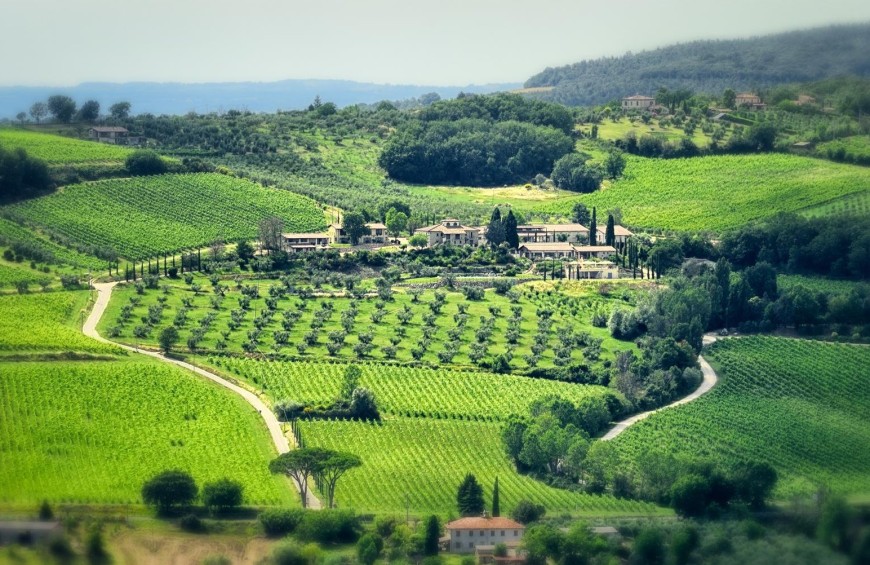 Bike & Wine on the trail of the ancient Romans