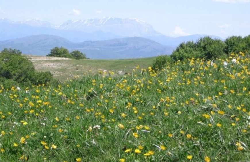 Trekking at La Pelosa Mountain - Valnerina and Nera River Park