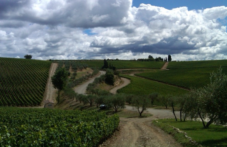 L'antica tenuta di San Gimignano l'eccellenza del vino e prodotti locali