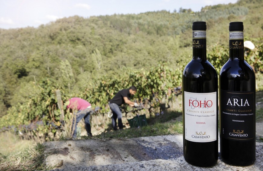 Tasting of Tuscan wines in Chianti area
