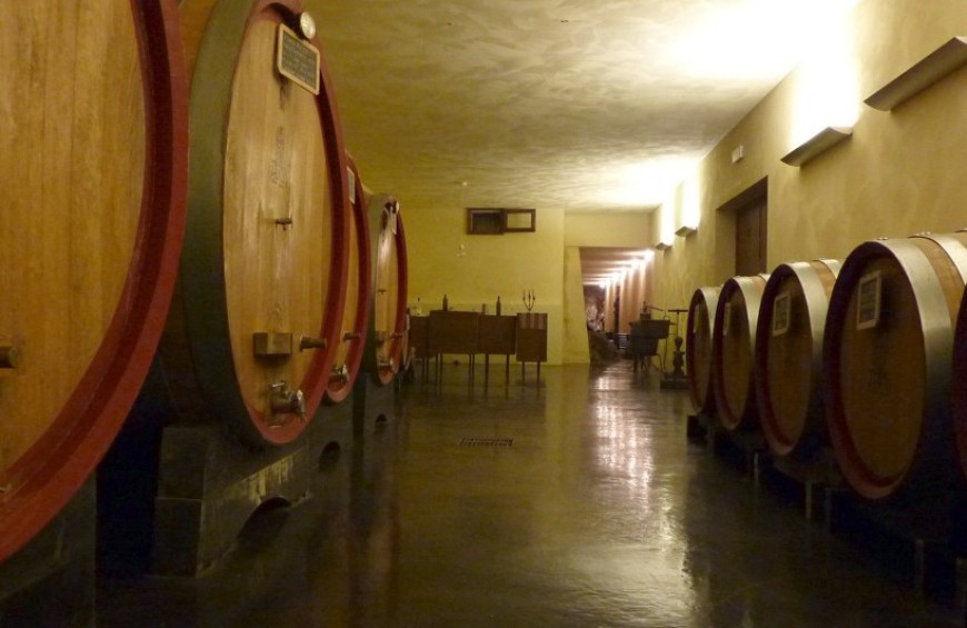Alla scoperta dei vini D.O.C. dei Colli Amerini