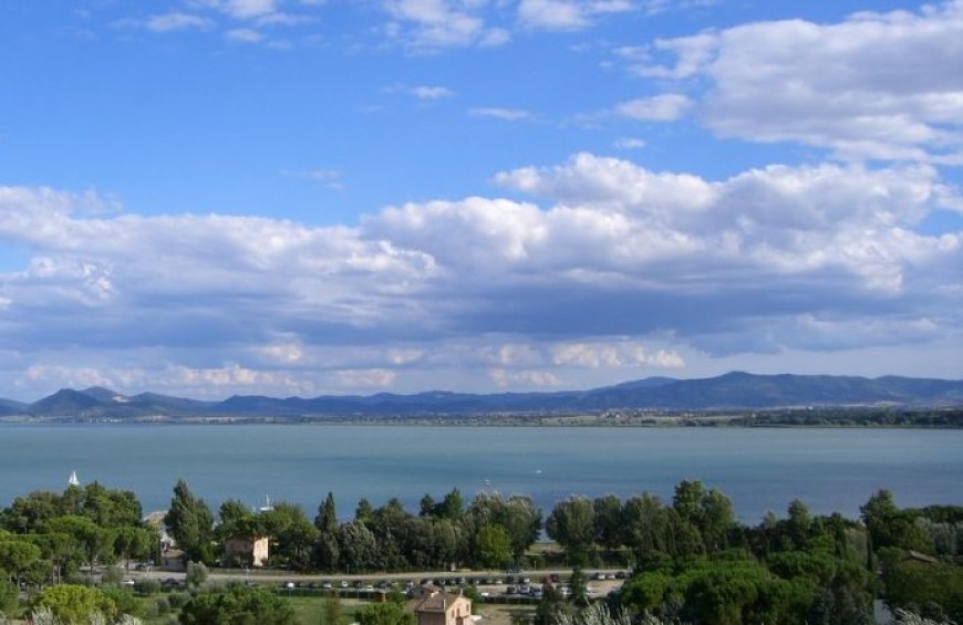 Visita e degustazione in una cantina sul Lago Trasimeno