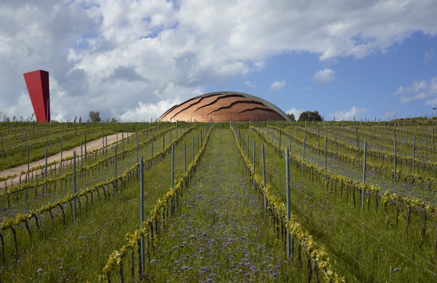 The excellence of wine meet art: the "Carapace"