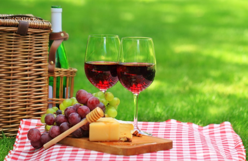 Picnic in vigna: esperienza di gusto!