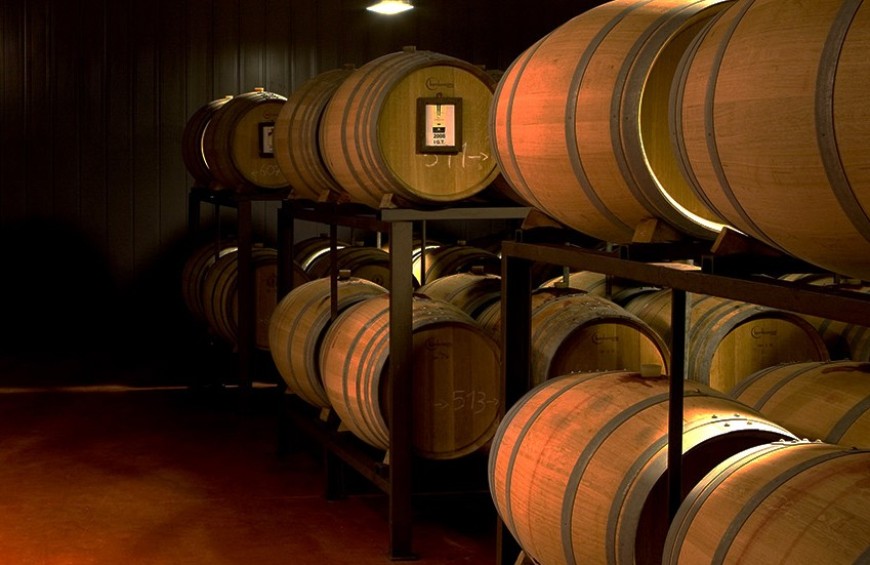 Torgiano Experience: passione totale per il Rosso DOCG
