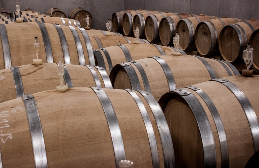 Tour & Tasting: i vini di Torgiano