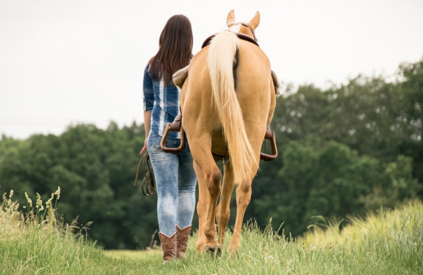 A cavallo con gusto sulle colline di Todi