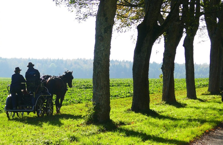 Montefalco: visita e degustazione