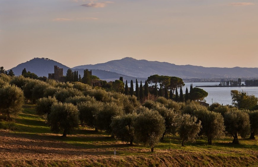 Tour del vino e dell'olio vista lago Trasimeno