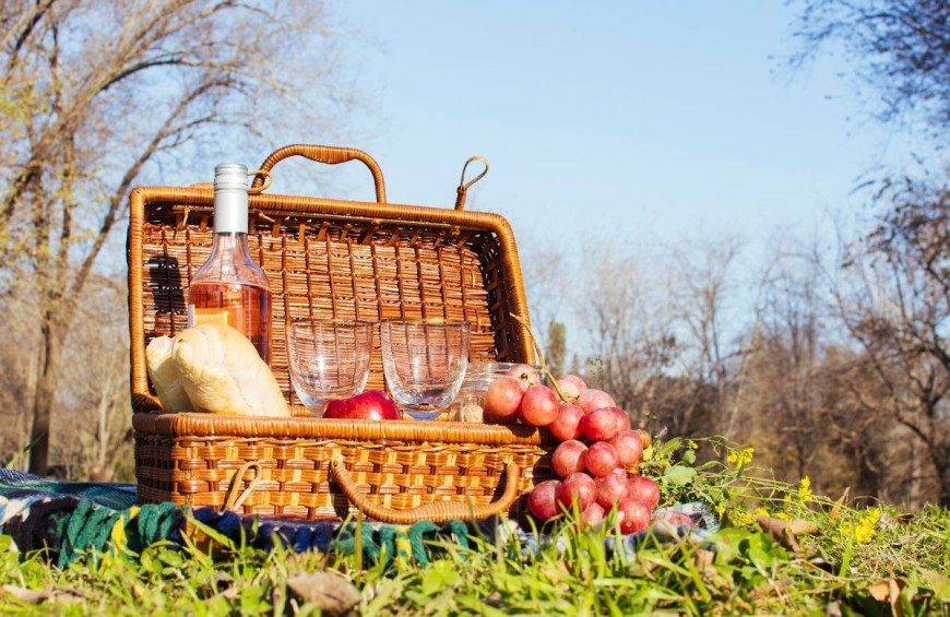 Picnic Bio in vigna sulle colline Umbre