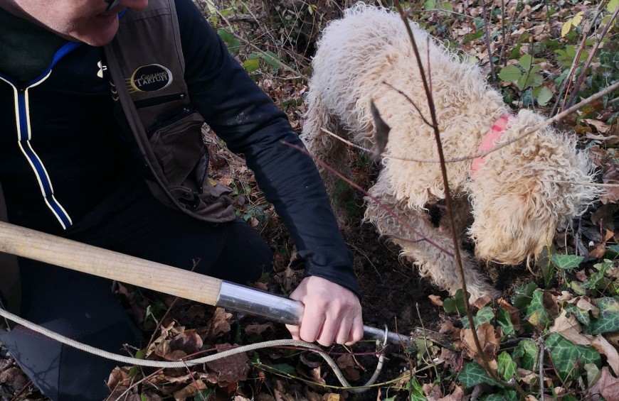 Truffle Hunting: scopri il mondo del tartufo