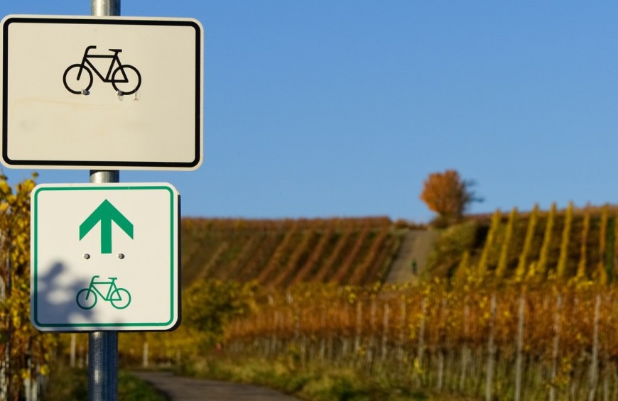 Enobike tour tra le colline di Orvieto