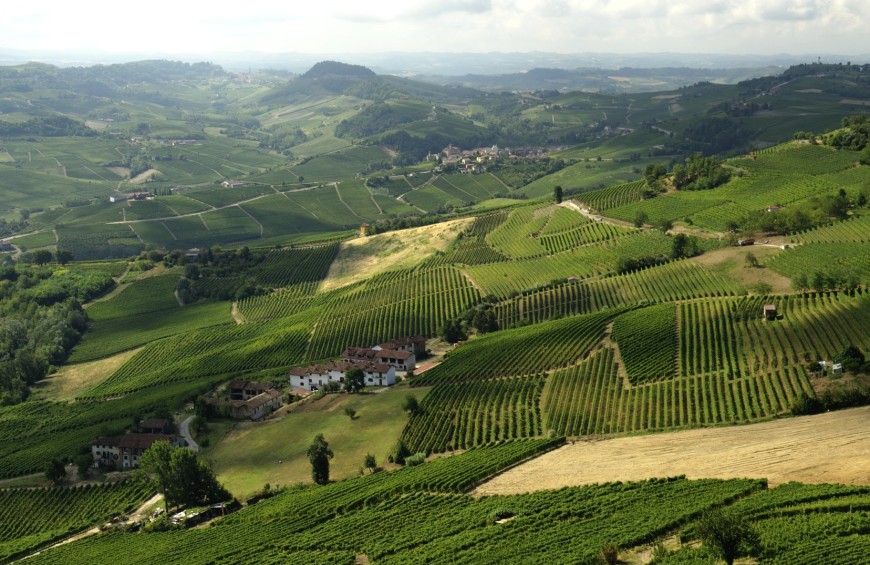 From the White Truffle woods to the summit of Barolo