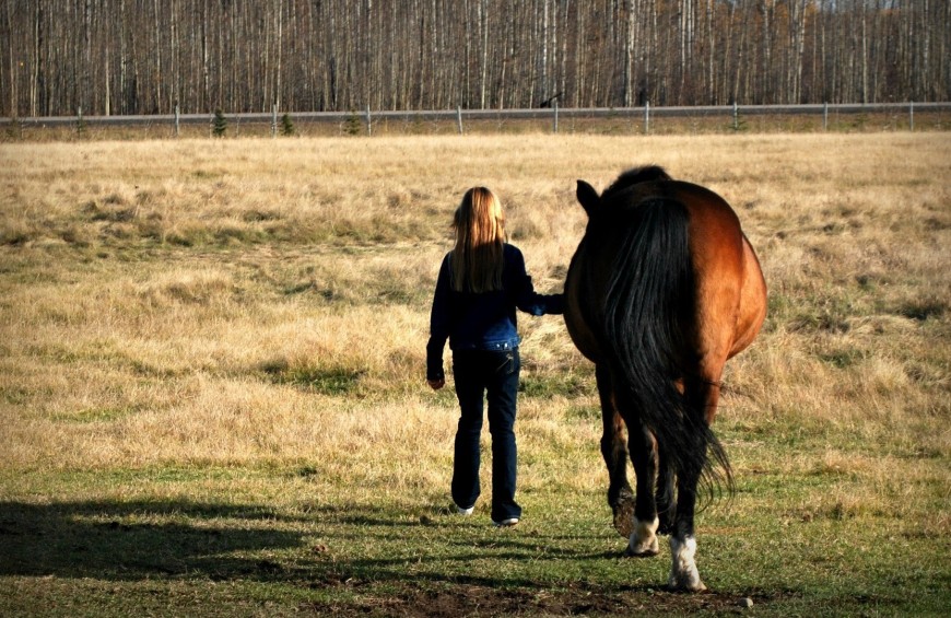 Horseback riding close to Siena