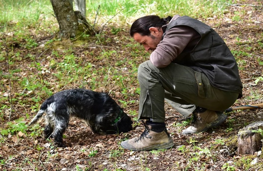 Caccia al tartufo nelle campagne di Assisi