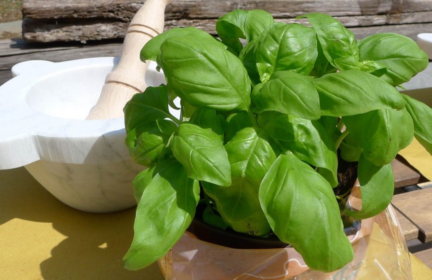 Cooking class: il pesto