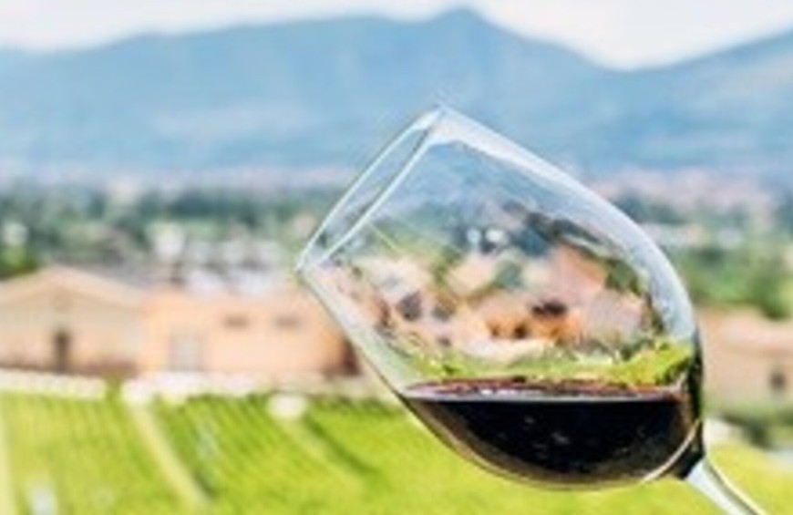 Trekking e degustazione sulle colline del Sagrantino