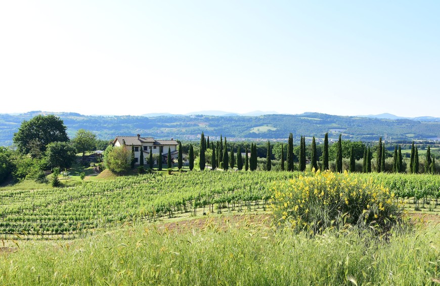 Farmhouse Il Collicello